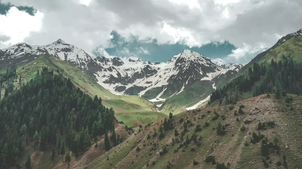 unsplash_2PdNtQ7blMw_Naran.jpg.jpg.jpg.jpg.webp