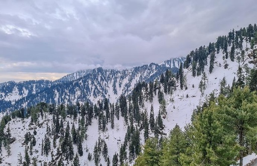 3 Days Pc Malam Jabba Tour Package - Swat Valley Tourism - (Executive)